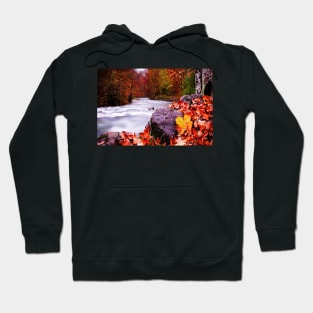 Autumn Flow Hoodie